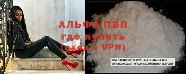 спайс Касимов
