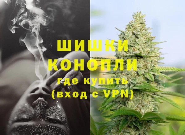 спайс Касимов