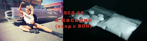 спайс Касимов