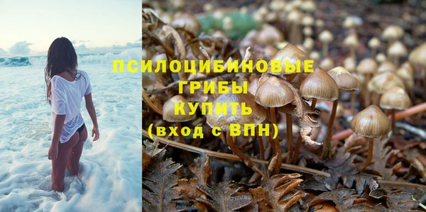 соль курить ск Карталы