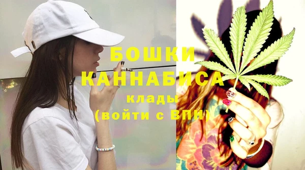 стаф Карпинск