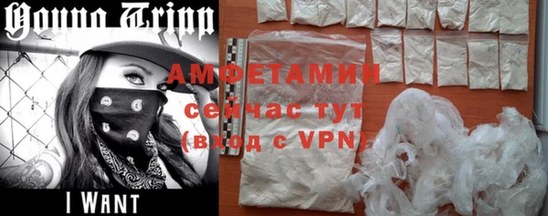 стаф Карпинск