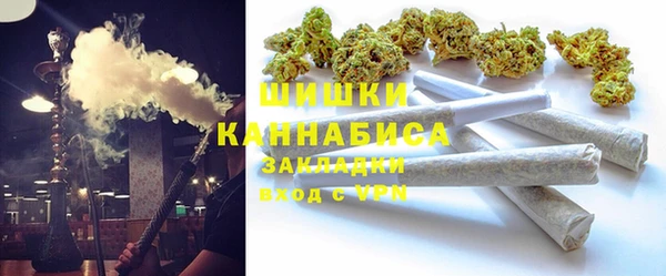стаф Карпинск