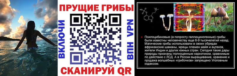 где можно купить   Набережные Челны  мега ТОР  Галлюциногенные грибы Magic Shrooms 