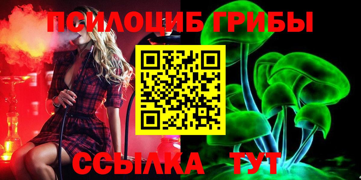 Псилоцибиновые грибы Psilocybine cubensis Набережные Челны