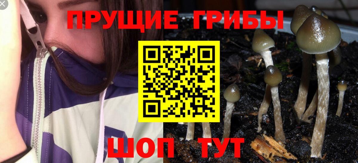 Псилоцибиновые грибы GOLDEN TEACHER  Вход с VPN  Галлюциногенные грибы мицелий  Набережные Челны 